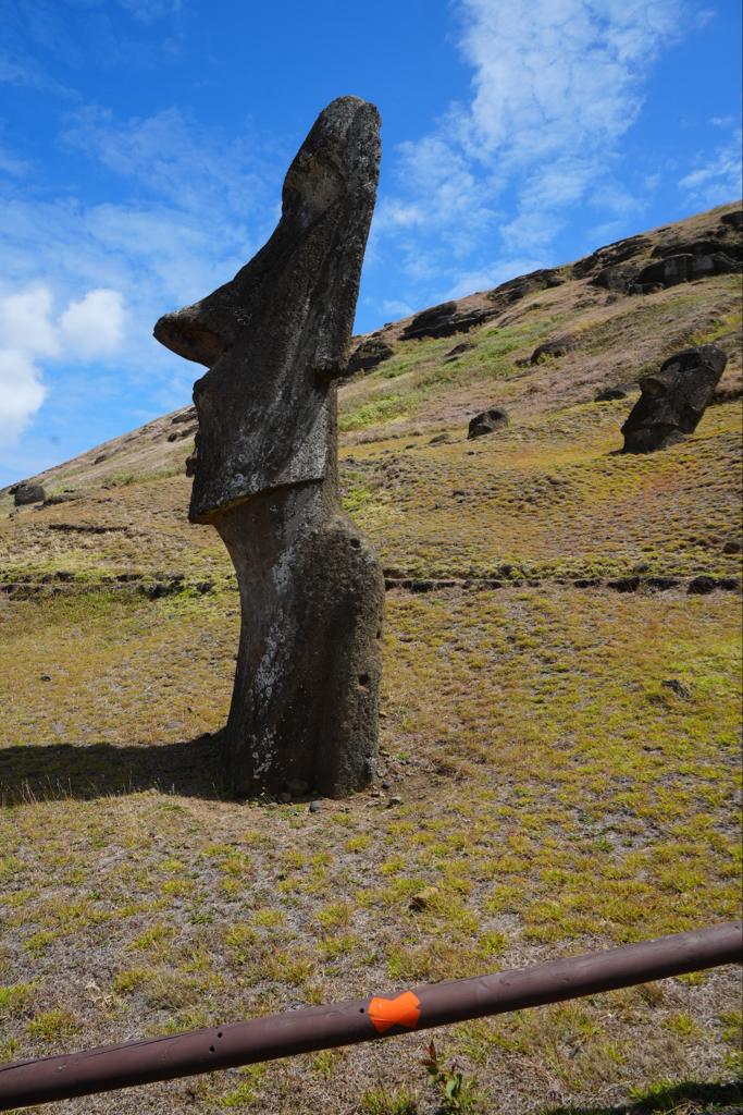 Rode absumo met op de achtergrond één van de Moai op Paaseiland.